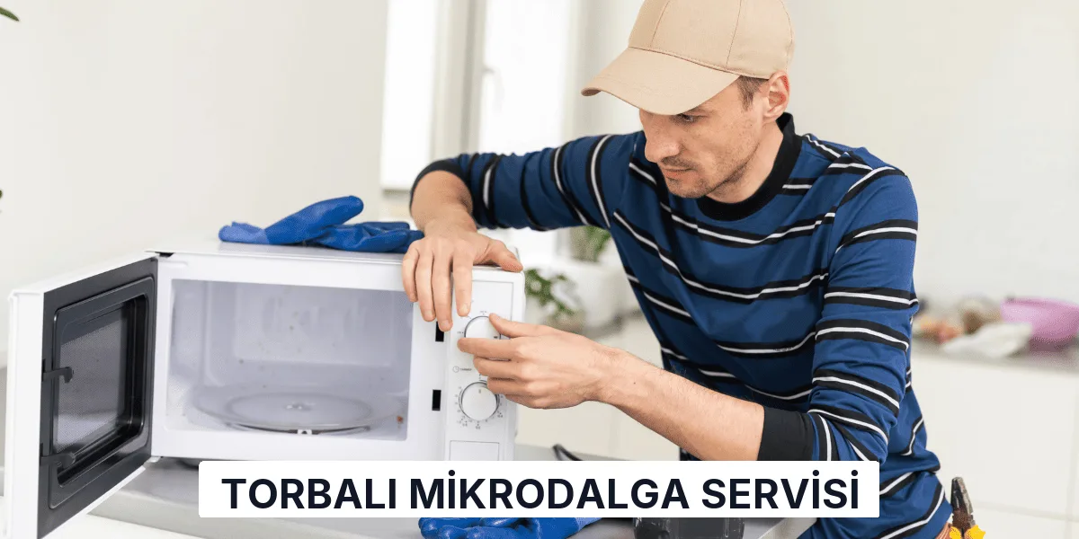Torbalı Mikrodalga Servisi